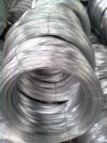 AAC Conductor (All Aluminium Conductor) IEC61089